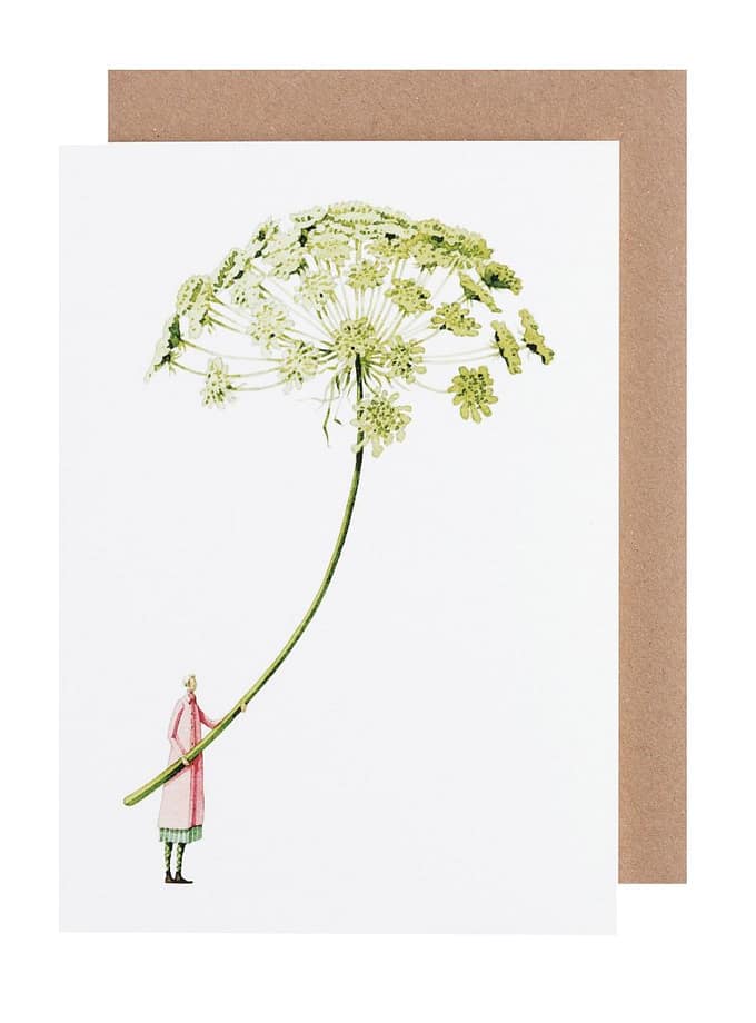 Laura Stoddart kort slöjsilja