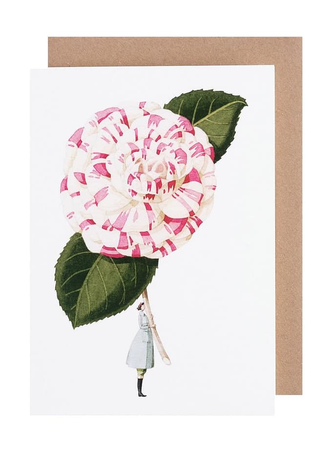 Laura Stoddart kort kamelia