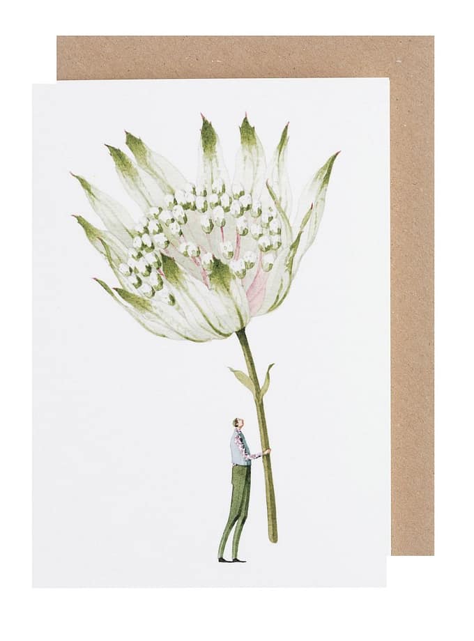 Laura Stoddart kort stjärnflocka